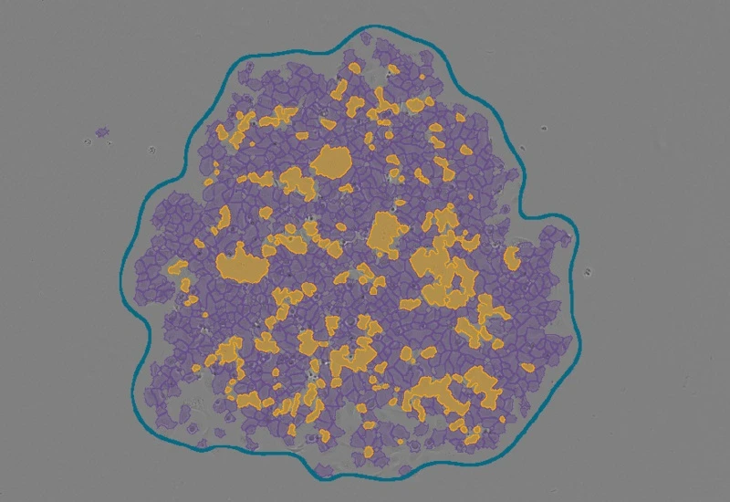 Dynamic Content Image